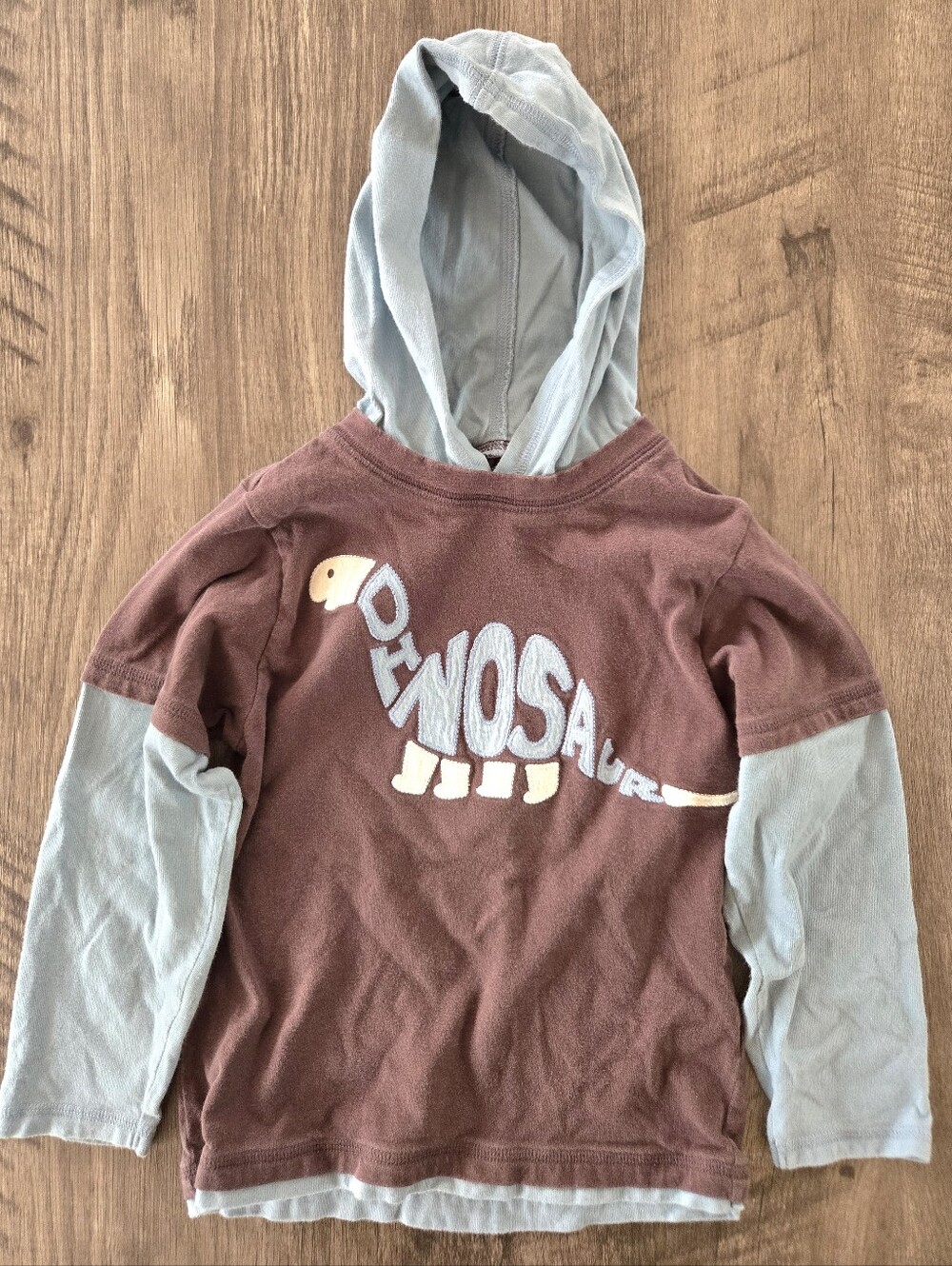 Vintage 2008 Gymboree Boy's Brown Long Sleeve Hooded Dinosaur Shirt Size 5T